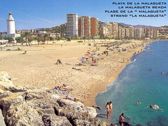 Strand La Malagueta